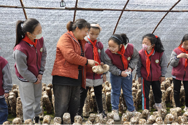 ruyang3.jpg