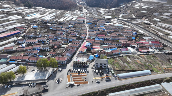 pijia4.jpg