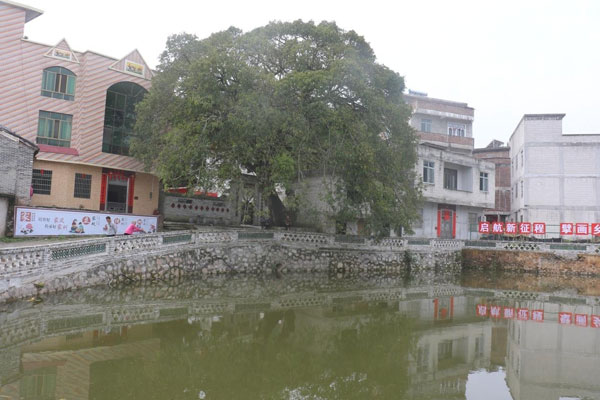 chuanotng3.jpg
