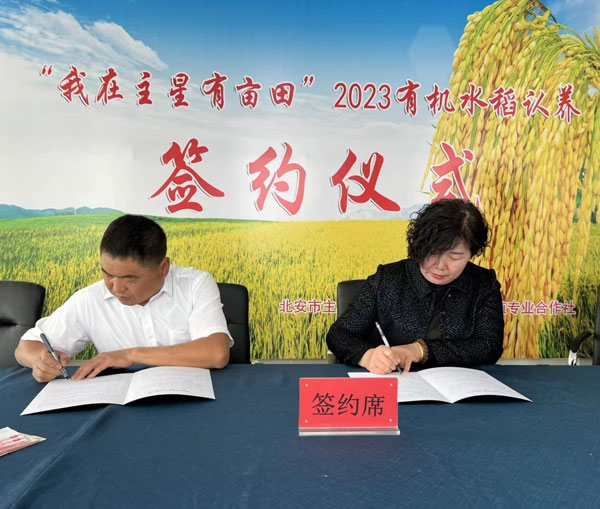zhuxing5.jpg