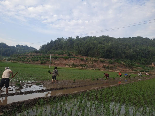shoushui1.jpg