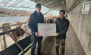 闹枝镇：打好肉牛产业发展“组合拳”