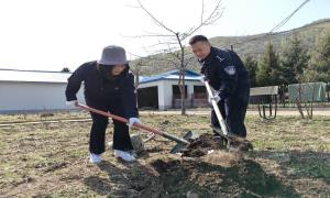 古城里出入境边防检查站联合和龙市团市委共同开展“红旗引领生态绿”五四青年植树活动