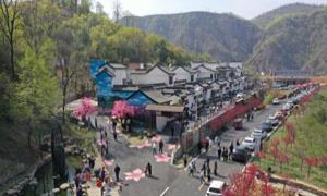 河南嵩县：生态文化激起乡村旅游“火辣味”