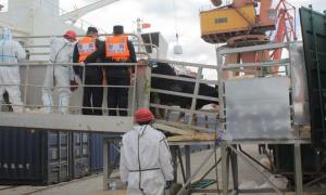 锦州出入境边防检查站助力3796头进口种牛顺利通关