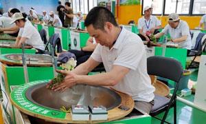 全国71位制茶大咖齐聚广西侗寨：煮沸三江水，同饮五岳茶