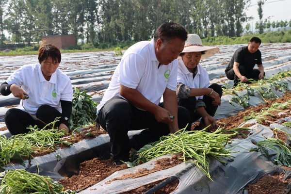 henan2.jpg