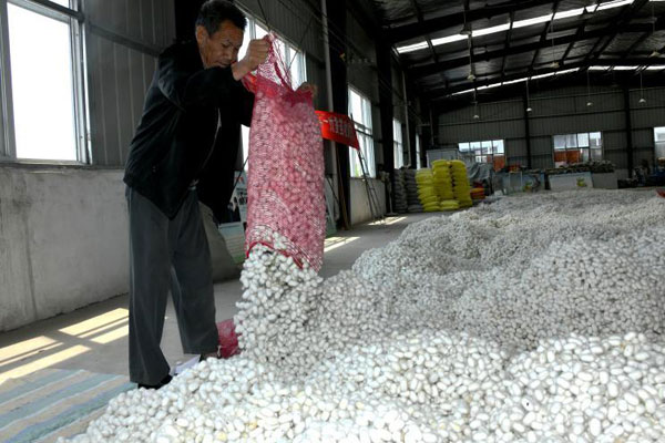 henan3.jpg