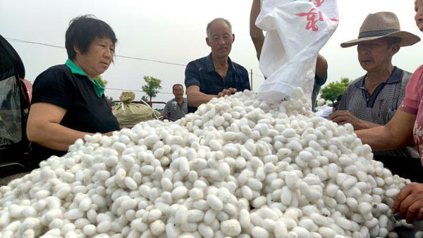 henan1.jpg