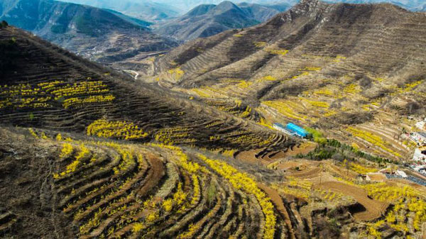 shanxi2.jpg