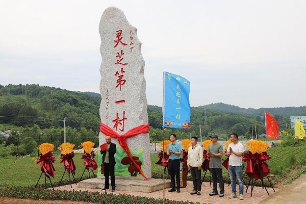wanliang1.jpg