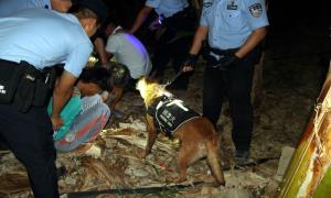 “犬”力以赴 “协”守边疆