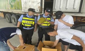 5742吨榴莲抢“鲜”通关 广西畅通进口水果海上通道
