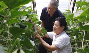 山西宁艾村：多元产业激活“致富密码”