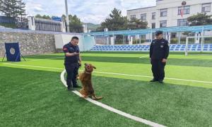 和龙边境检查站与和龙市特巡警大队警犬中队签订协作共建工作机制