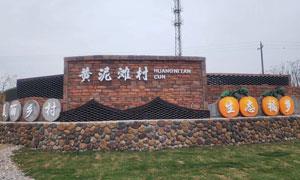 黄泥滩村：“党建引领，五民推动” 建设和美乡村