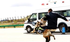 把祖国“北大门”构筑得坚不可摧