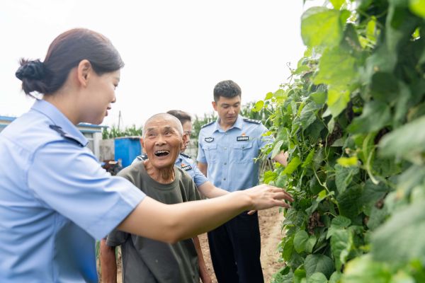 鲅鱼 92岁老红军耕种的菜园 (1).jpg