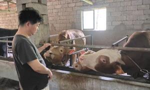 谢杨东：将炙热的心融入乡村热土