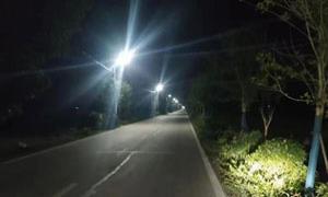 “小路灯”照亮乡村振兴幸福路