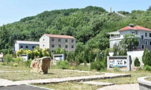山西里三村：红色土地艾香飘