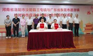河南三屯镇与广东道滘镇​强化结对协作签约成功