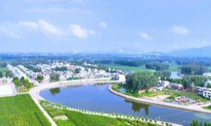 杨集镇：党建引领谋发展 产业兴旺促振兴