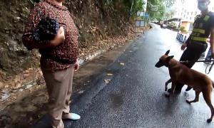 警犬也能查“三非”？加个嗅源的事儿而已！