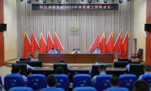 西藏出入境边防检查总站执法调查支队召开2023年度党建工作推进会