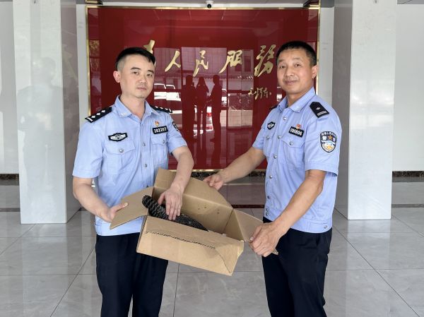 张家界边检站民警将受伤鸟类移交森林公安.jpg