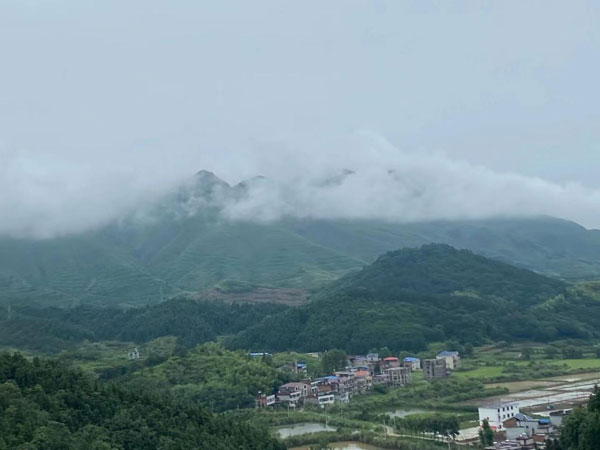 huang4.jpg