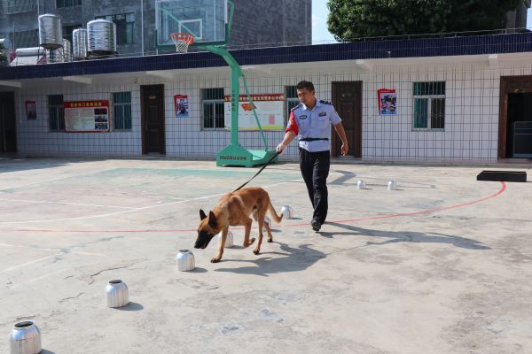 徐广正在对警犬“兰博”进行训练.jpg