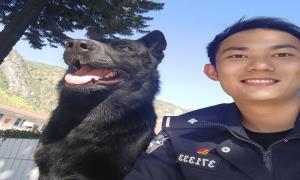警犬云柯：“无言”伙伴的忠诚守护