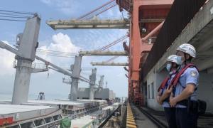 港口通关“零等待” 莆田边检构建“10分钟服务圈”全天候验放煤炭入境