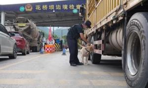 警犬“天虎”炼成记