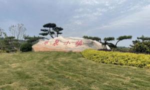 山化镇人大：乡里广场便民还富民