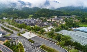 江西全南：特色产业铺就致富路