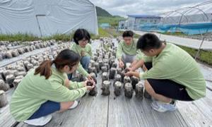 青春筑梦正当时 理想领航“沿江”行