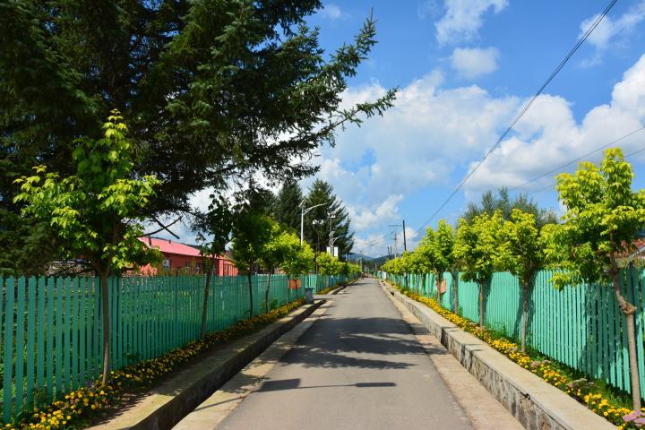 liang4.jpg
