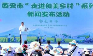 打造和美乡村 建设诗画鄠邑