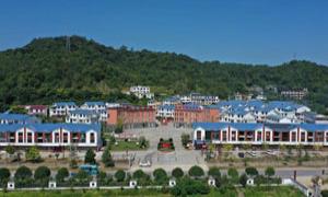 分流铺村：用绿色产业擦亮“森林乡村”金色名片
