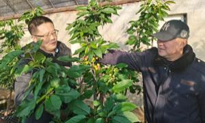 肖炉村：众人划桨开大船 乡村发展有实招