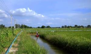 合浦县：壮大村集体经济 助力农民增收