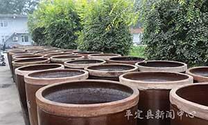 张庄镇：乡村振兴 三微企现光芒