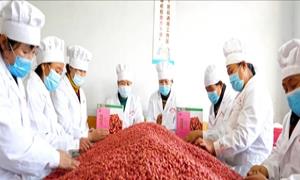 扶余市：构建“三位一体”人才工作体系 为乡村振兴蓄势赋能