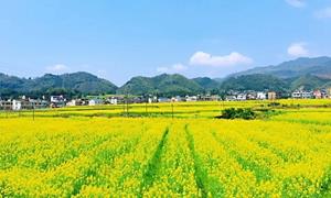 龙村瑶族村：“废弃老矿山”变身“全国乡村治理示范村”