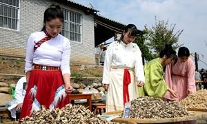 河南嵩县：山中飘药香 “晒秋”时节致富忙