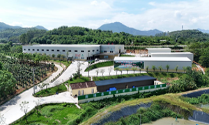 图美村：打造新时代乡村振兴“图美样板”