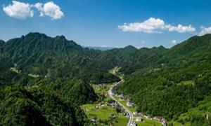 五里乡紫荆村：以“信易+”缔造和谐发展新篇章