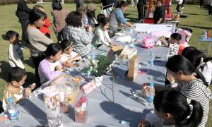青春气息 嵩县“湖山雅集”新风起